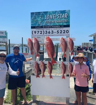 Several Snappers from Destin FL